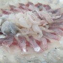 동해안회센타 이미지