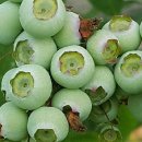 순재농장 이미지