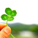 진관중학교 이미지