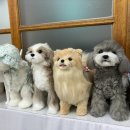 그미마당(keumimadang) 이미지