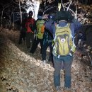 신덕평로 Daum카페