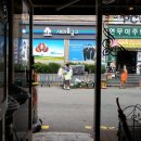 강아지 사랑 이미지