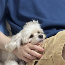 센텀동물병원 이미지