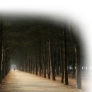 자기변화 촉진훈련('09.2.2-2.4/2박3일)