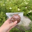 파리바게뜨배곧초교점