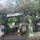 민들레영토경희대점 이미지