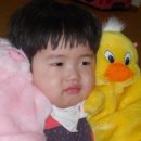 수현동물병원 이미지