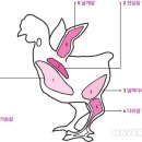 고기백과 이미지