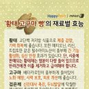 황태빵 뉴스1