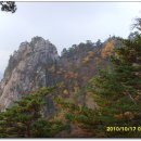 공룡민박 이미지