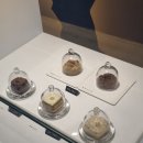 디싸이시브모먼트(Decisive Moment) | [연희동카페] 디싸이시브모먼트decisive moment 분위기 좋은 카페 채광좋은카페
