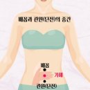 시솔