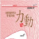 어분 Daum카페