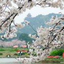 운남서로 이미지