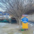 샛별농장 | 홍천 별캠 키즈 풀빌라 샛별2 키즈룸 온수풀 온수수영장 개별 반려견운동장 내돈내산 후기