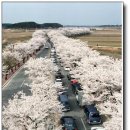 국토해양부 선정 한국의 아름다운 길 100선 이미지