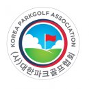 (중급)파크골프 | 구장에서 공 차이 느껴져서 결국 다시 찾게 된 IMP 파크골프공 후기