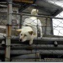 배낭바위민박 이미지