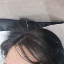진주 초전동 한의원 허리 통증으로 찾은 경희한의원 방문 후기