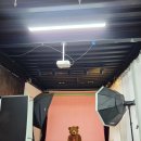 사진관.좋다 | 대구 강아지 스튜디오 남구 재이사진관 증멍사진 촬영 후기 (가격, 주차장)