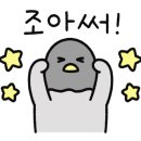 옷빠는오빠 이미지