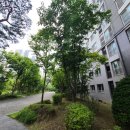 미사강변초등학교 이미지