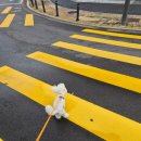 가재울 공원 이미지