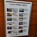 엘리시안강촌당구장 이미지