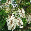 봉재농장 이미지