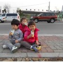 준용농장 Daum카페