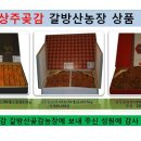 장창수농장 Daum카페