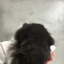 묘감 이미지