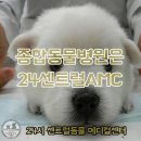 센트럴종합동물병원 이미지