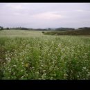 상석농장 이미지