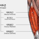 피티크래프트 이미지
