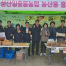 신풍농산물