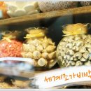 세계조가비박물관 이미지