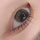 브로우소예
