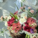 AK유치원 이미지