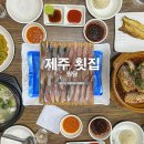 제주 원담 <b>제주</b> 횟집 <b>원담</b> <b>제주</b> 고등어회 방어회 추천