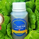 굿바이해충