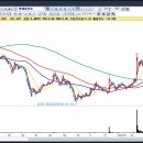 금보유전자 이미지