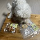 멍멍까까 이미지