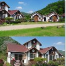 라스텔라편백숲