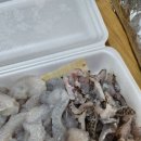 울랄라여행사