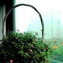 싱글 스크린 골프 이미지