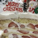 프로방스베이커리 | 대구 딸기케이크 맛집 프로방스 베이커리 후기