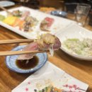 어스시앤참치