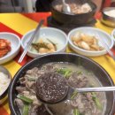 자매식당 | 제주 세화민속오일장 맛집 [[자매식당]] 세화5일장 후기