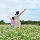 먼나머루휴양펜션 이미지